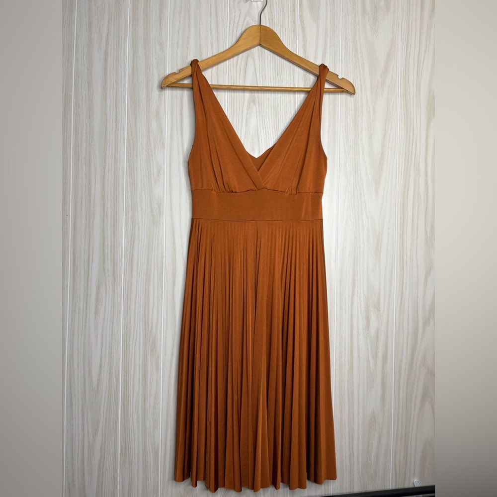 Mai Tai Pleated V-Neck Mini Dress in Rust